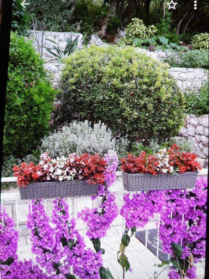 Apartments Maria Donje Celo ภายนอก รูปภาพ